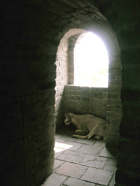 Great Wall, Mutianyu