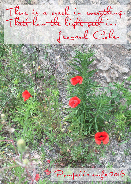 Poppies at Pompeii