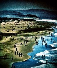 Ocean Beach