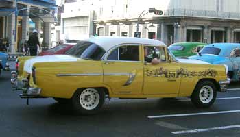 Yellow 55